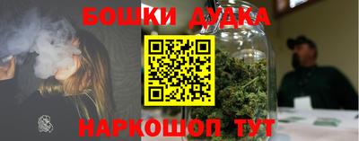 дурь Бердск