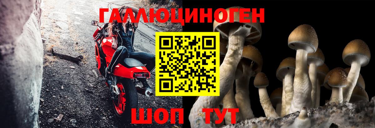 Галлюциногенные грибы прущие грибы  сколько стоит  Похвистнево  Вход с VPN  Галлюциногенные грибы Cubensis 